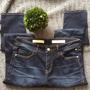 Anthropologie Pilcro Script Skinny Jeans